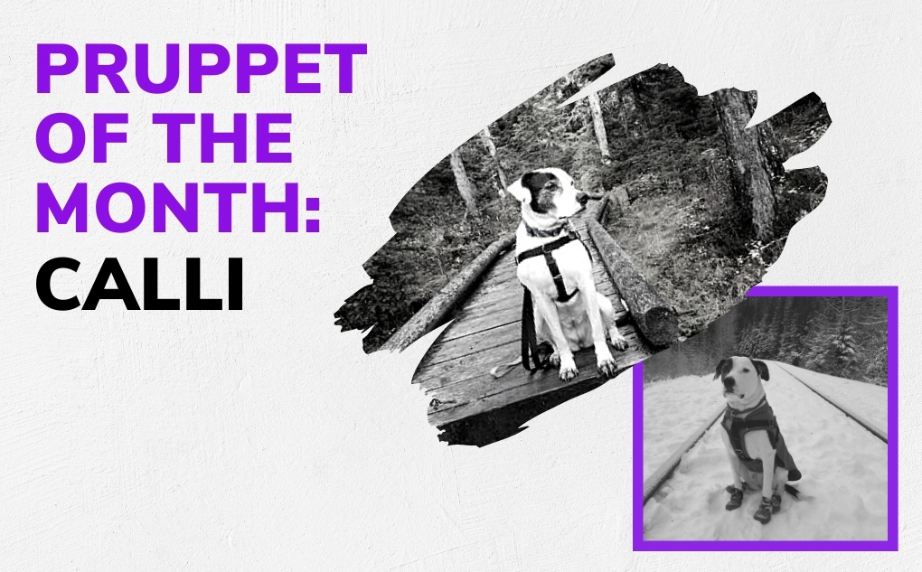 Pruppet of the Month: Calli