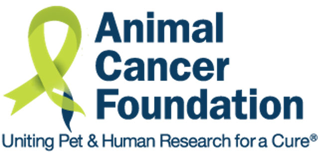 Animal Cancer Foundation