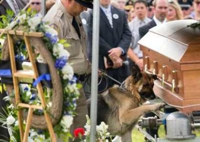 police dog figo