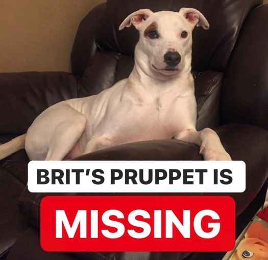 Brit's Pruppet is Missing