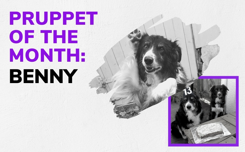 Pruppet of the Month: Benny