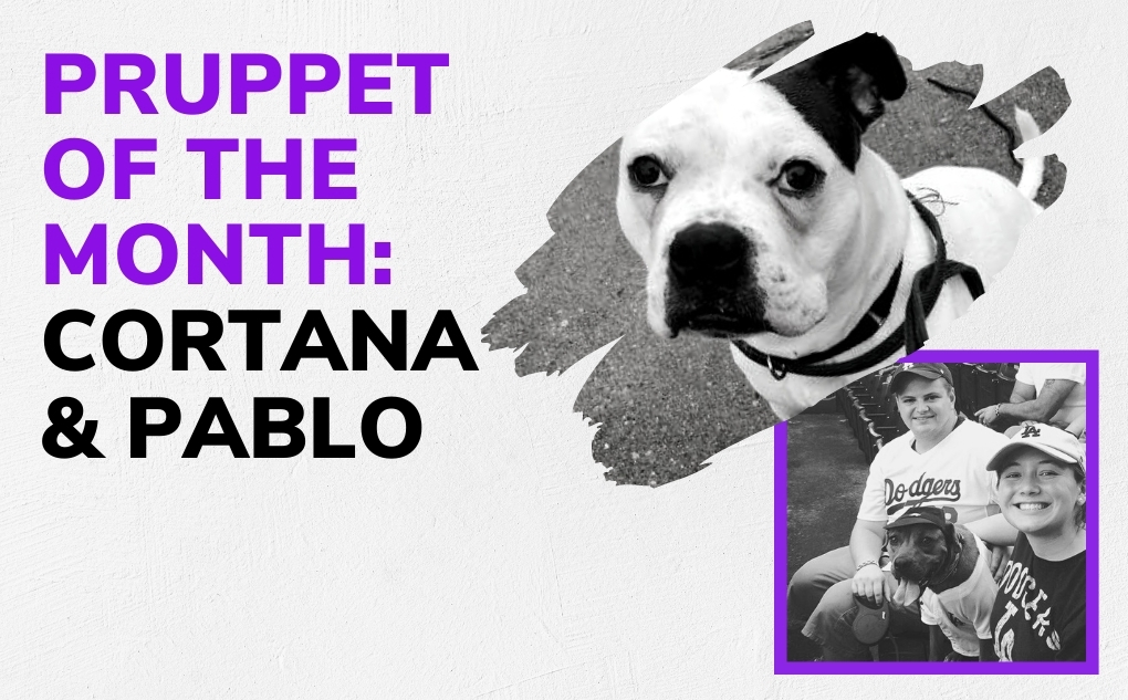 Pruppets of the Month: Cortana & Pablo