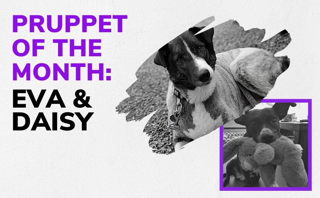 Pruppets of the Month: Eva & Daisy