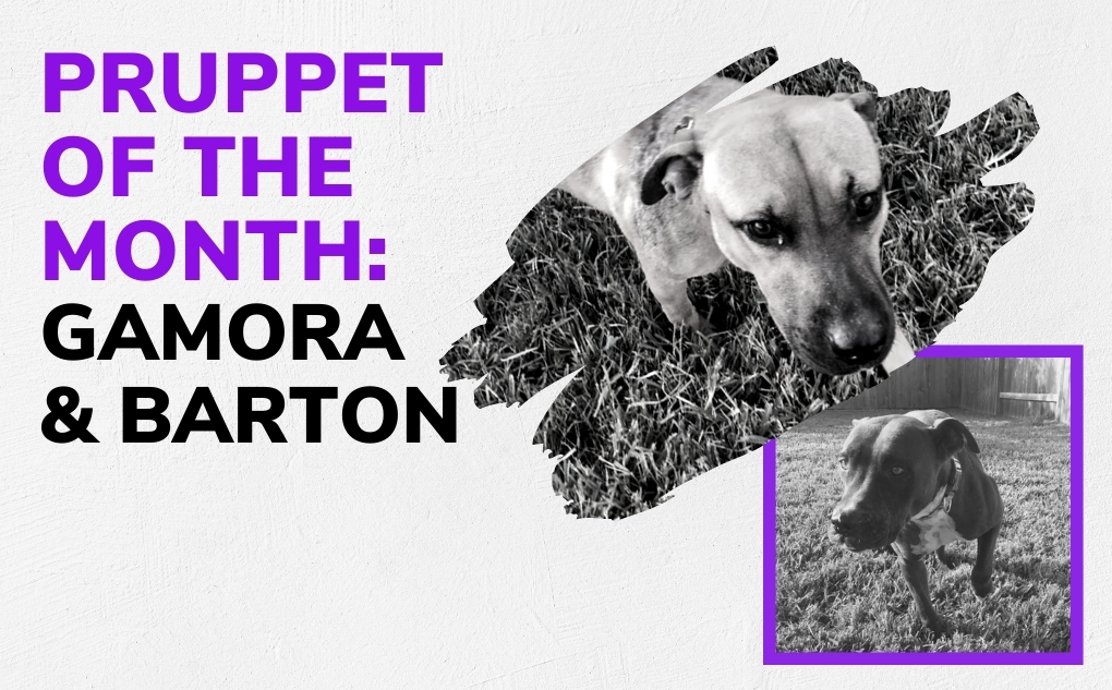 Pruppets Of The Month: Gamora & Barton