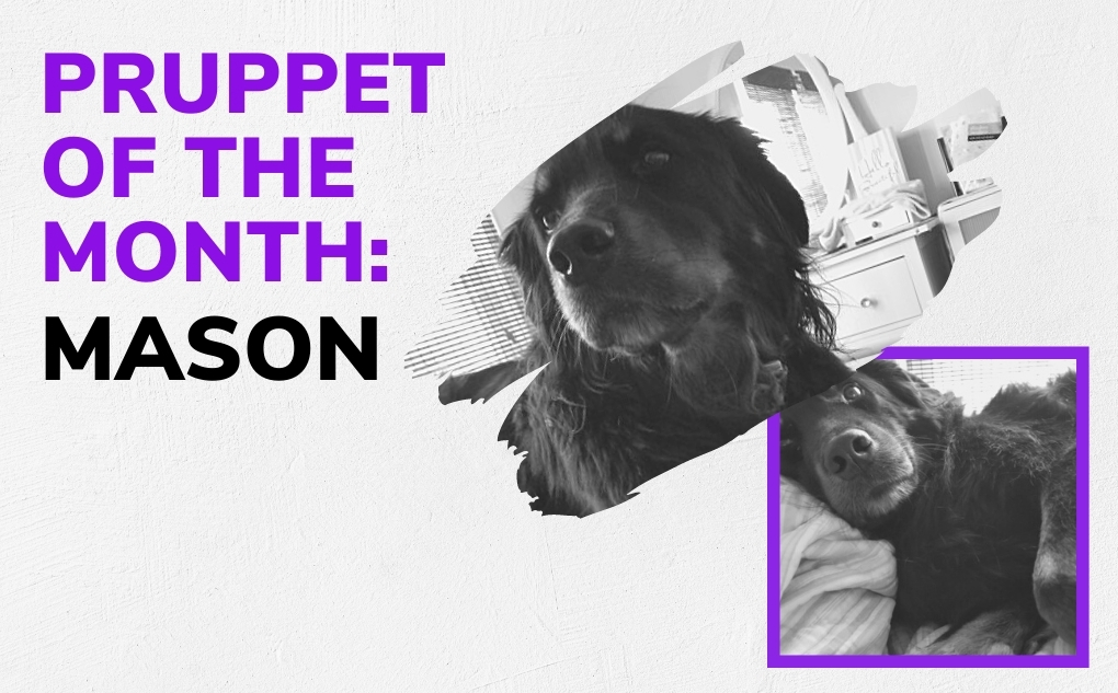 Pruppet of the Month: Mason