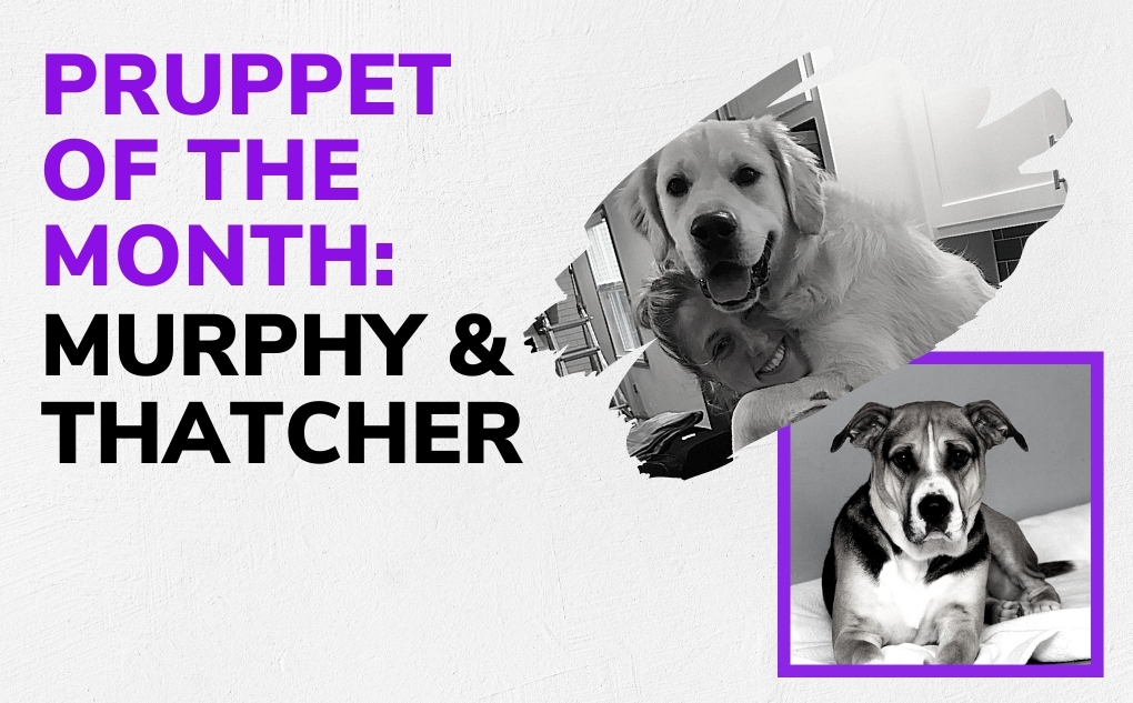 Pruppets of the Month: Murphy & Thatcher