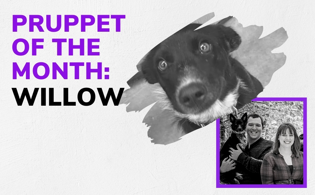 Pruppet of the Month: Willow