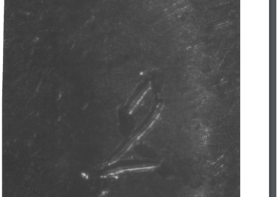 figure of a fish etched on a bullet