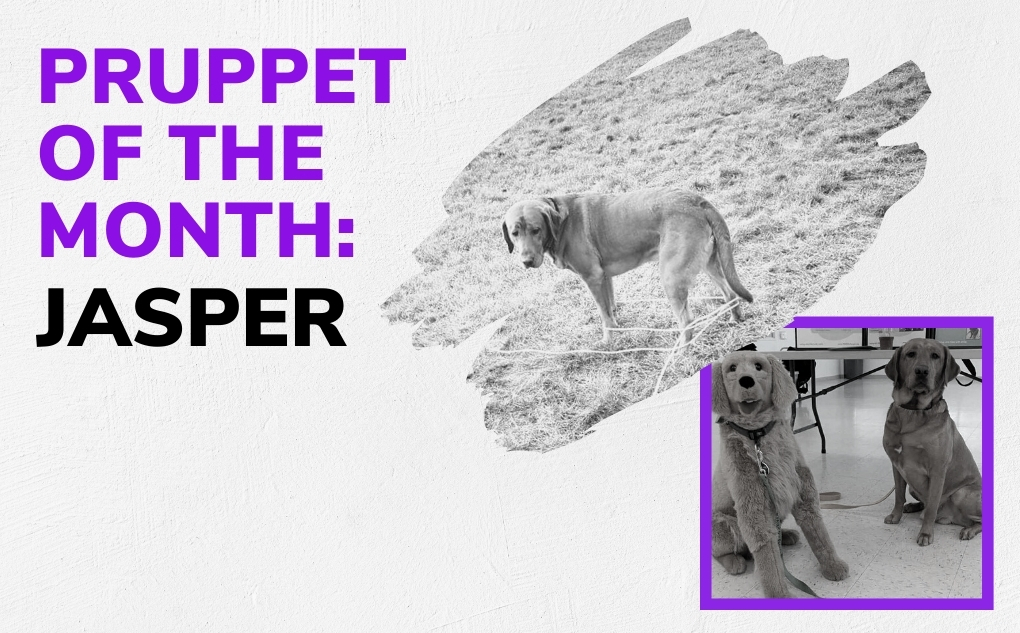 Pruppet of the Month: Jasper