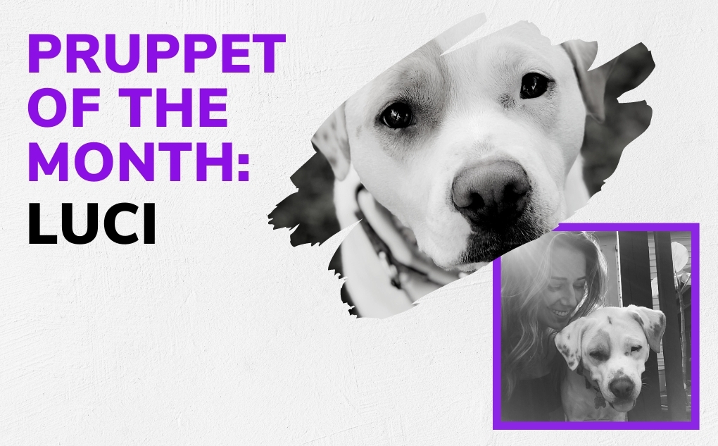 Pruppet of the Month: Luci