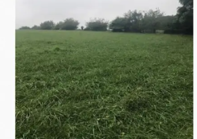 photo of a grassy field on an overcast day