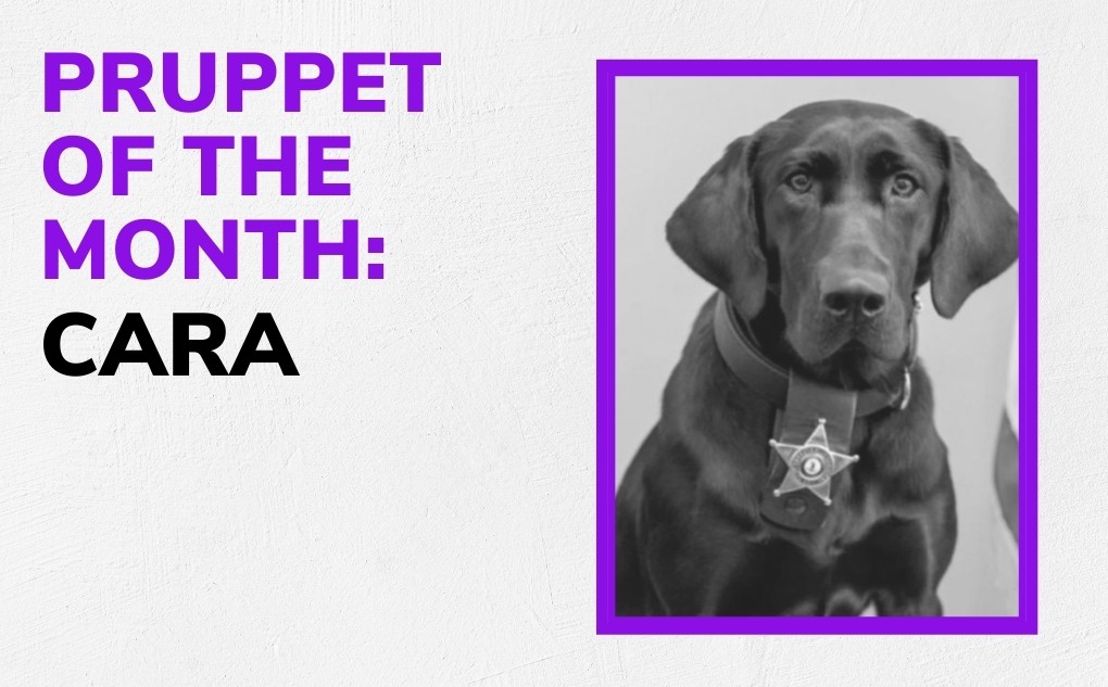 Pruppet of the Month: Cara