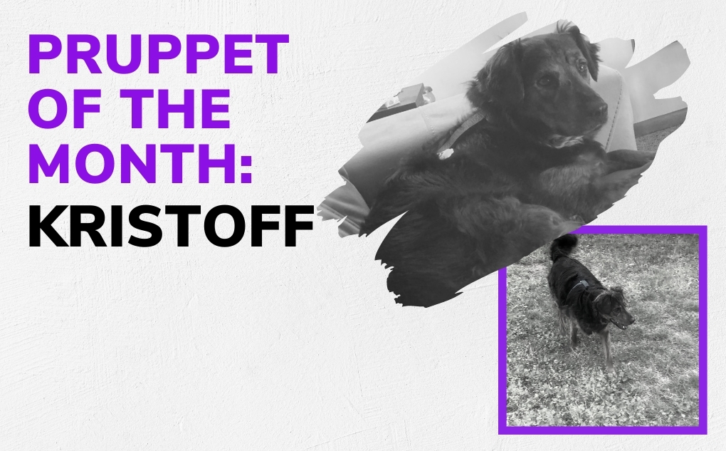 Pruppet of the Month: Kristoff