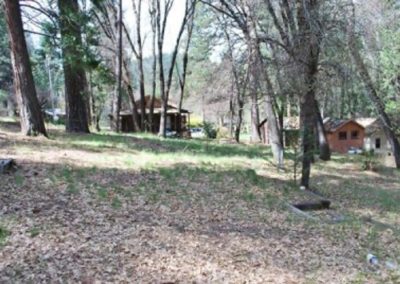 trees and cabins