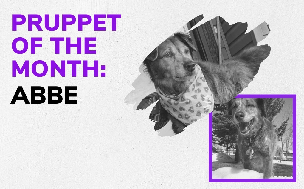 Pruppet of the Month: Abbe