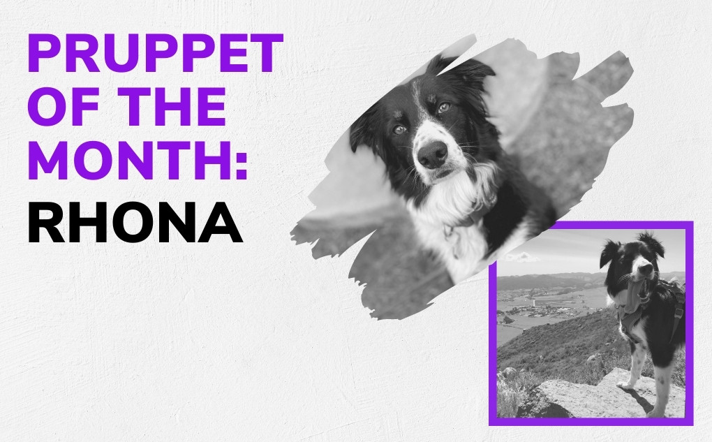 Pruppet of the Month: Rhona