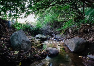 The creek in Lancaster County where Jonathan’s body was found