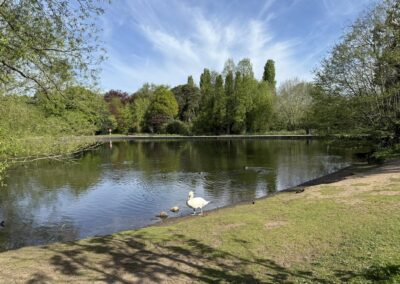 Pype Hayes Park.