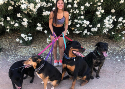 Rachel walking dogs