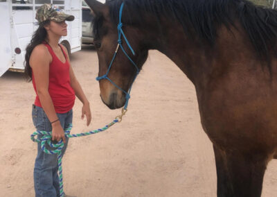 Rachel guiding a horse