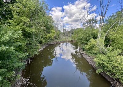 Root River in 2025