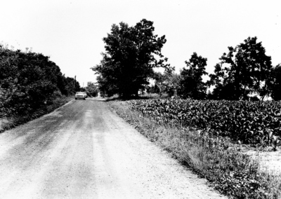 Where some of Stephanie’s bones are found off a rural road