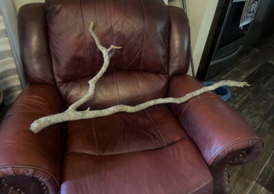The cut tree branch recovered from the scene where Tripp was found in the woods near Crow Creek.
