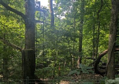 The deer stand located near the area where Tripp’s body was found.