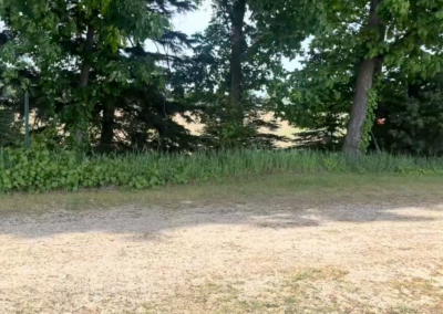 Present-day photo of the approximate area where the car Brittany and the “mystery man” were in got stuck off the side of the road.