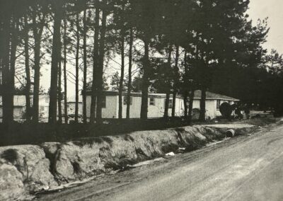 A sparse tree line separated Beatrice and Arthur’s home from the road.