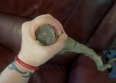Jennifer holding the tree branch recovered from the site where her son, Tripp, was found dead.
