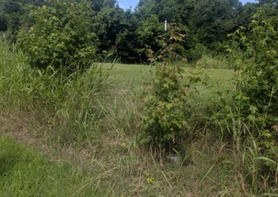 The area along St. Francis County Road 409 where Tripp Brazeale abandoned his ATV and ran into the woods.
