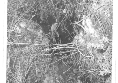 Where Joyce’s body was recovered in Wawawai Canyon