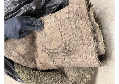 The carpet from Stevens Hall that Joyce was found wrapped in