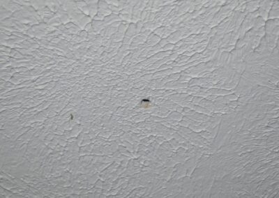 The bullet hole in the bedroom ceiling